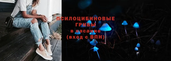 Альфа ПВП Вяземский