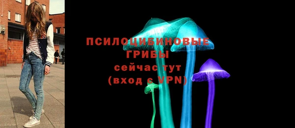 mix Гусиноозёрск