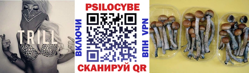Галлюциногенные грибы GOLDEN TEACHER  купить закладку  Зеленогорск 